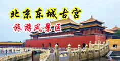 淫女荡妇x×爽中国北京-东城古宫旅游风景区